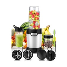 Juicer blender